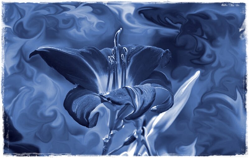 Blue Lily Flower — Serene, Digital Art