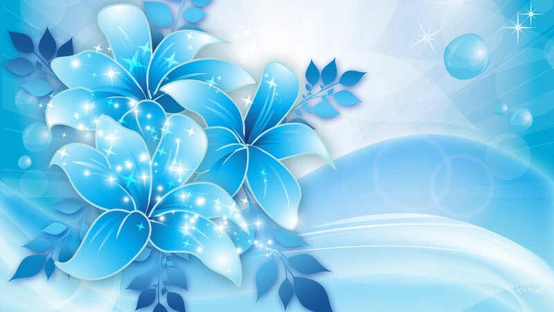 Blue Lily Flowers — Serene