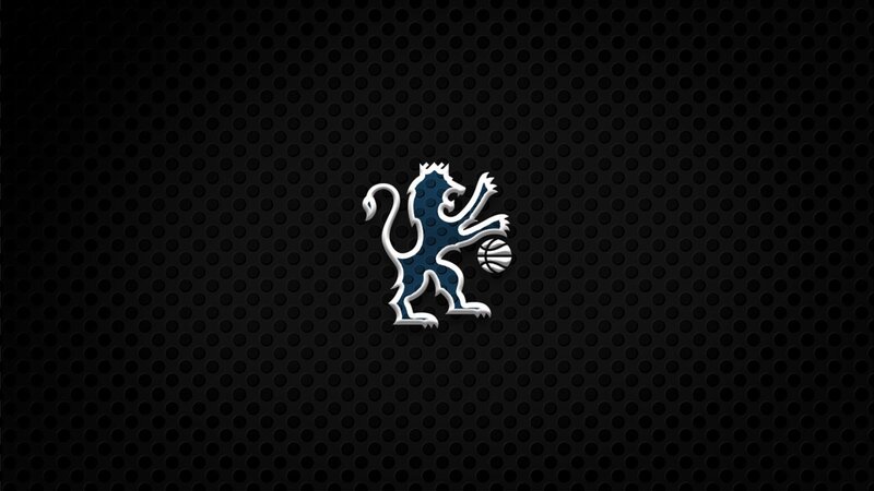 Blue Lion Holding Ball