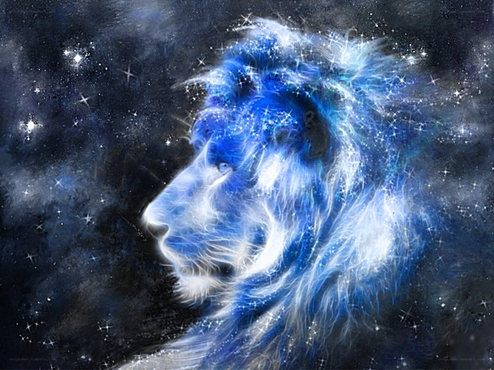blue lion in starry sky