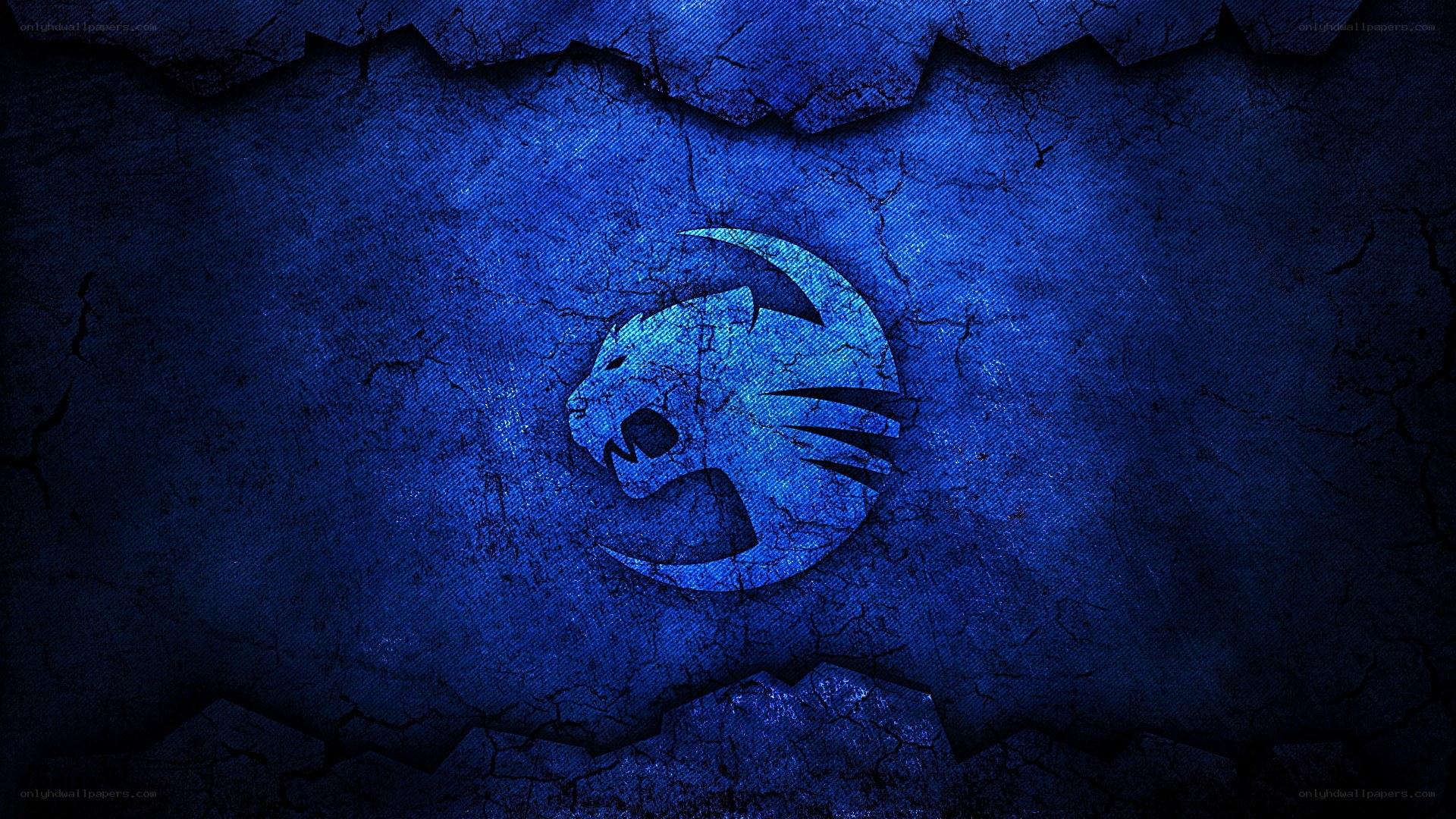 blue lion logo on cracked wall