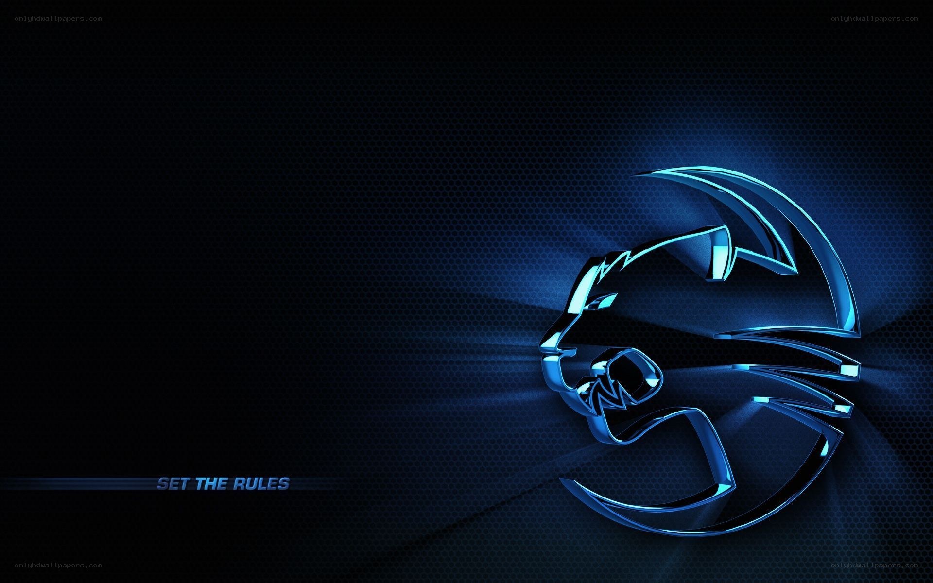 blue lion logo wallpaper