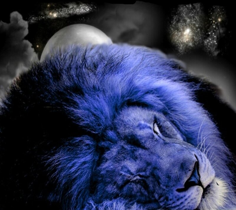 Blue Lion Sleeping