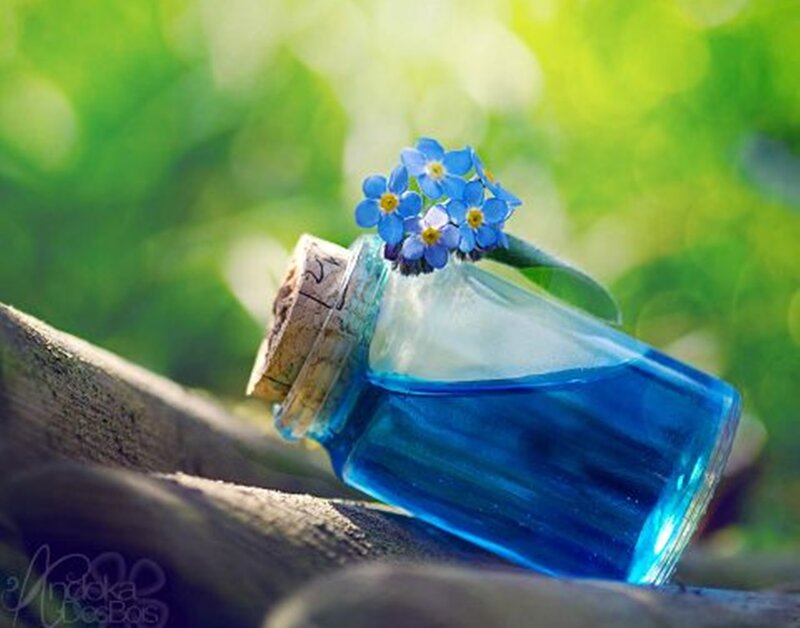 Blue Liquid in Bottle — Serene