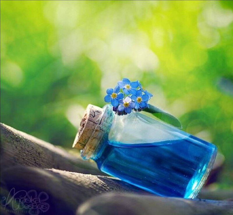 Blue Liquid in Bottle