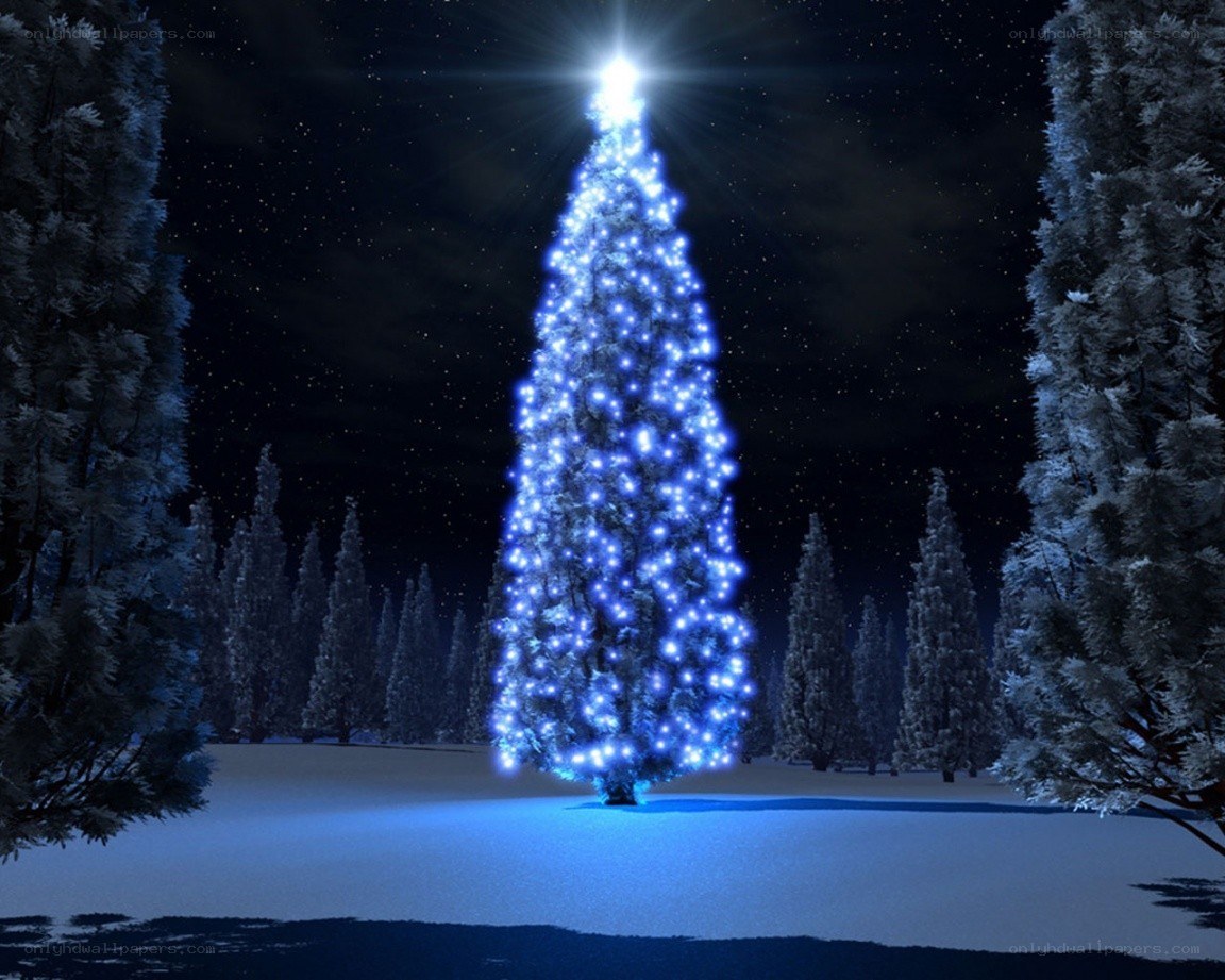 Blue-lit Christmas tree at night