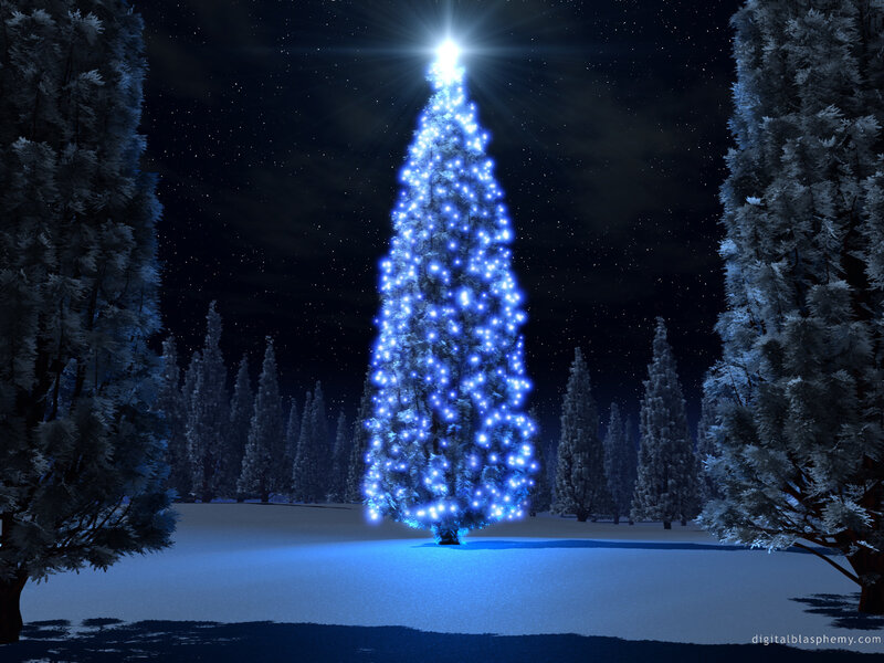 Blue-lit Christmas tree at night