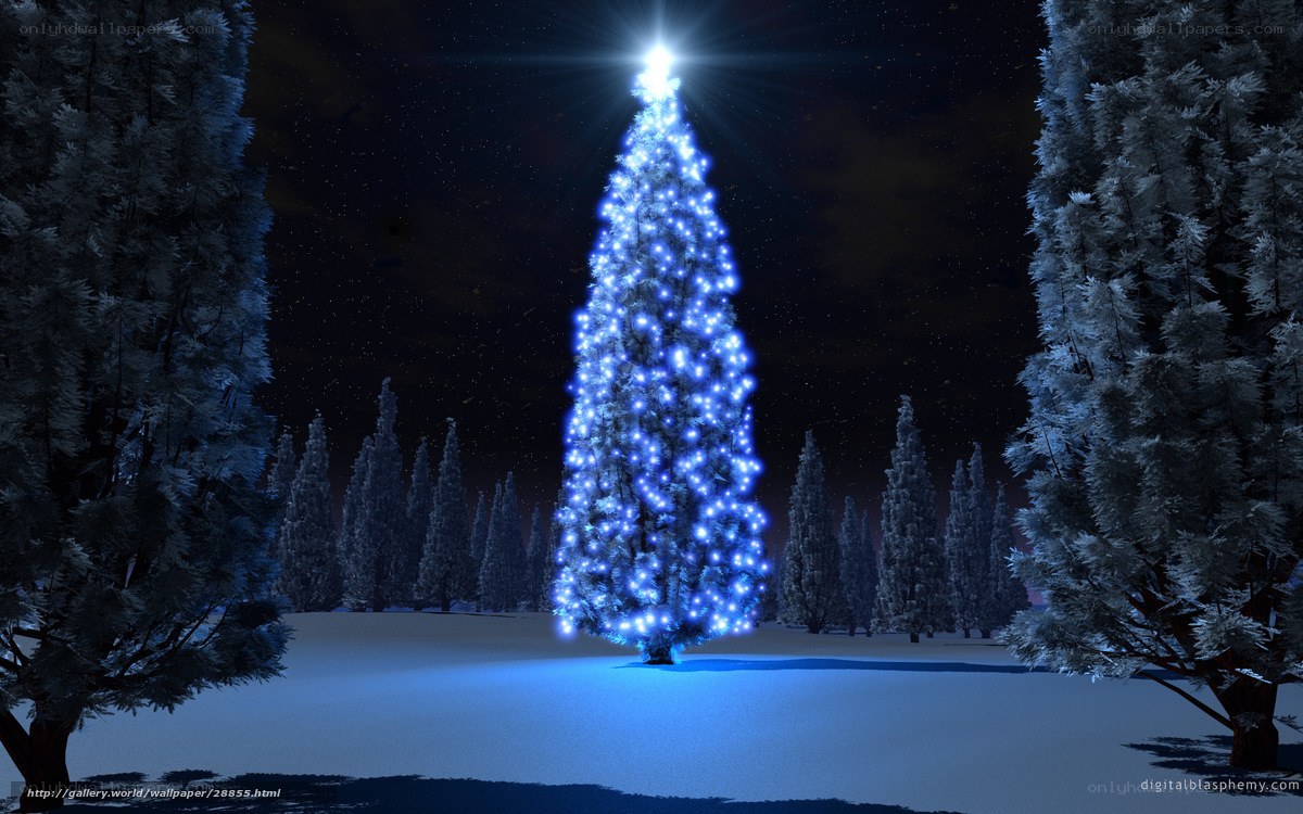 Blue-lit Christmas tree at night