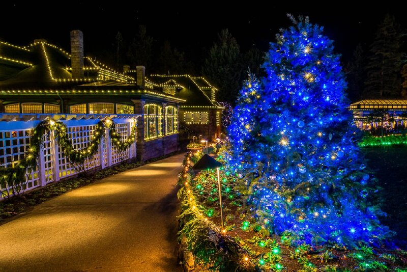 Blue-lit Christmas Tree — Blue, Festive, Night, Photograph, Building, Path