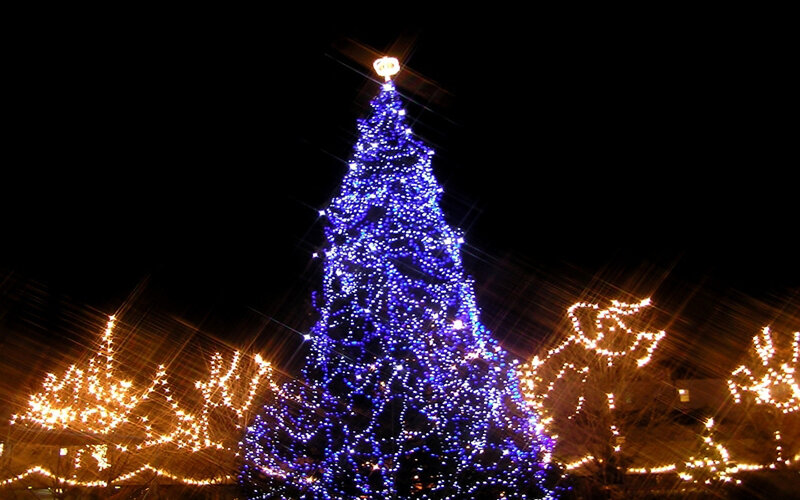 Blue-lit Christmas Tree — Blue, Festive, Night, Photograph
