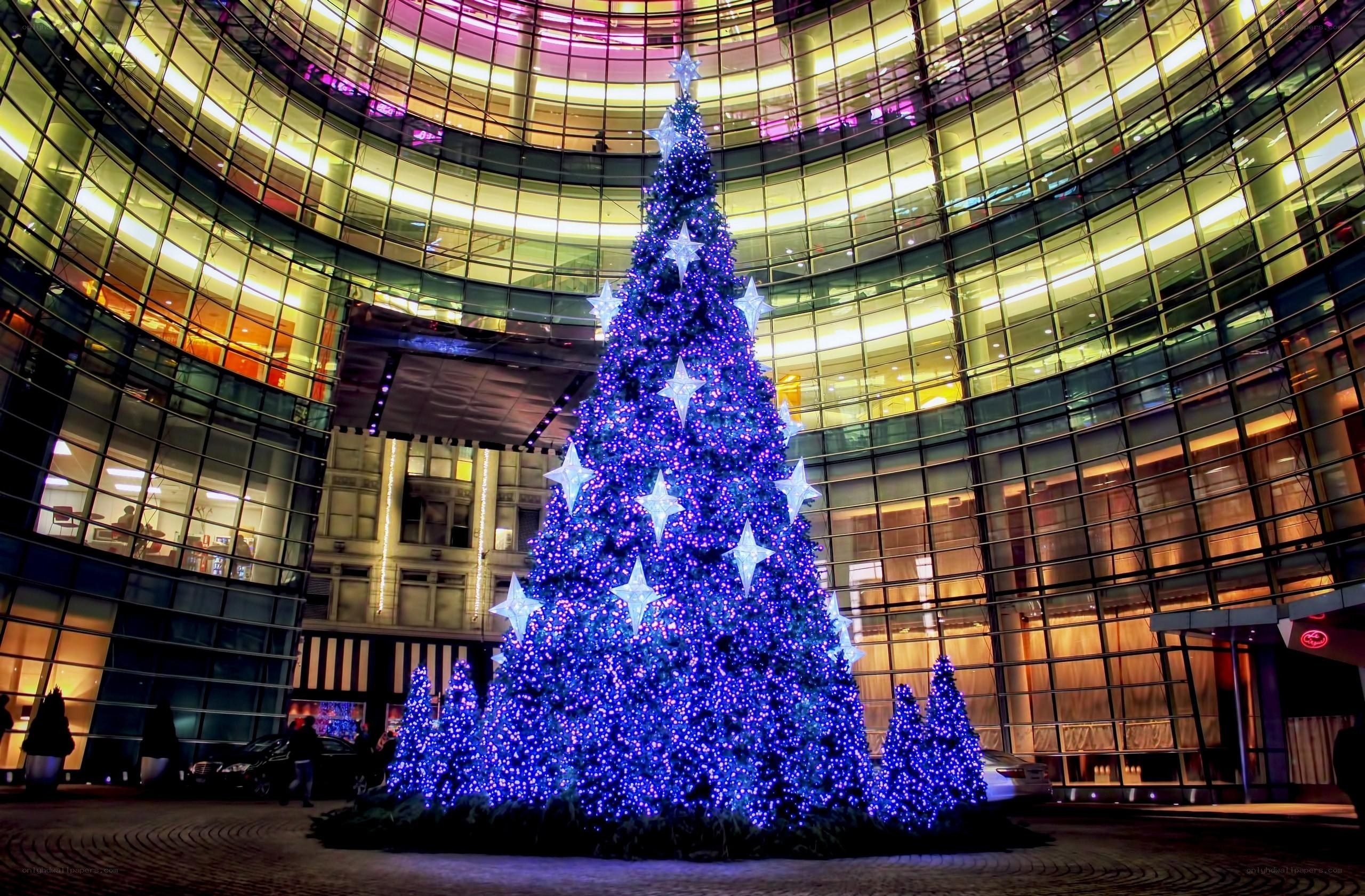 Blue-lit Christmas tree in city