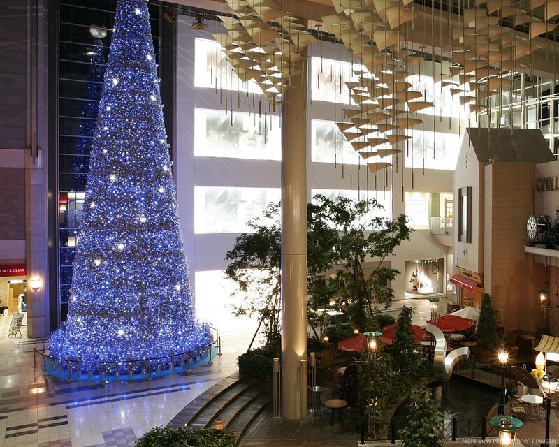 Blue-lit Christmas Tree