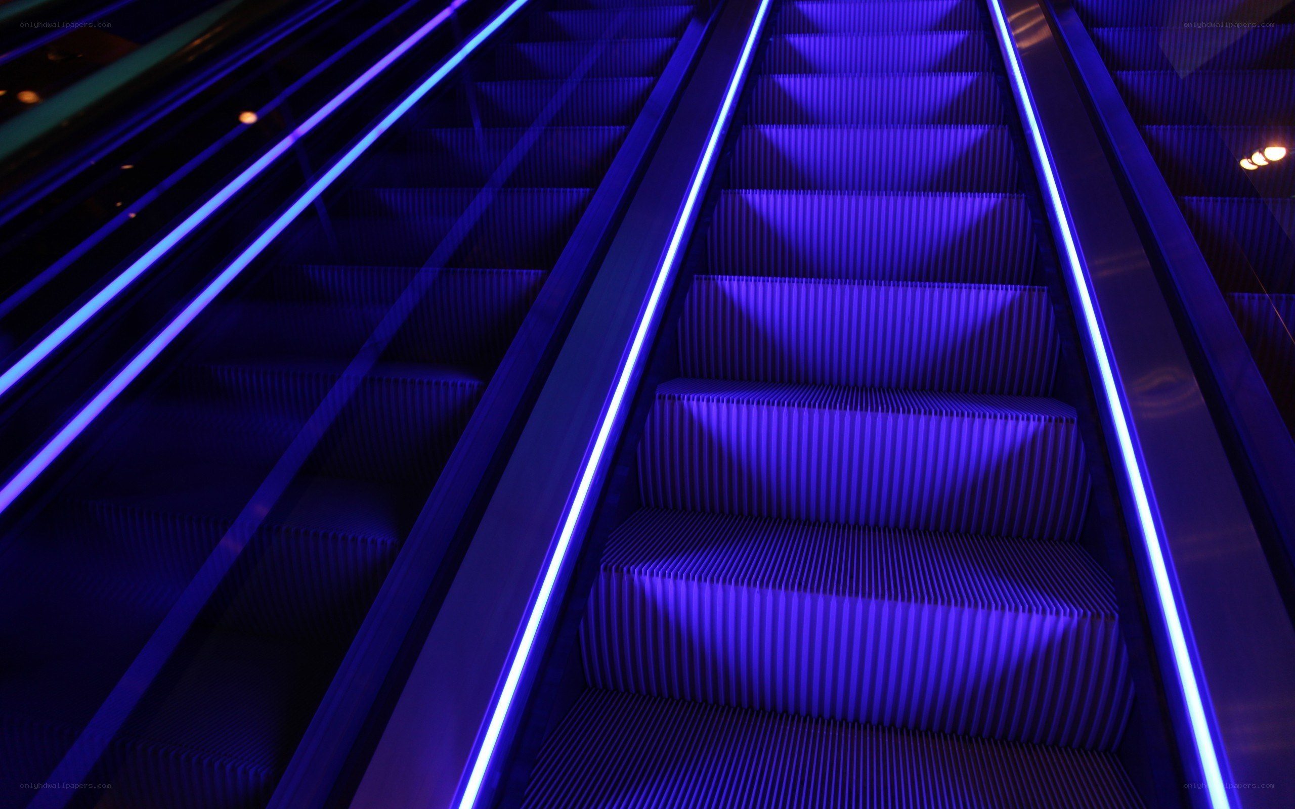 Blue-lit escalators in a modern building