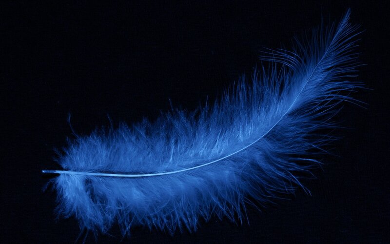 Blue-lit Feather — Blue, Dramatic