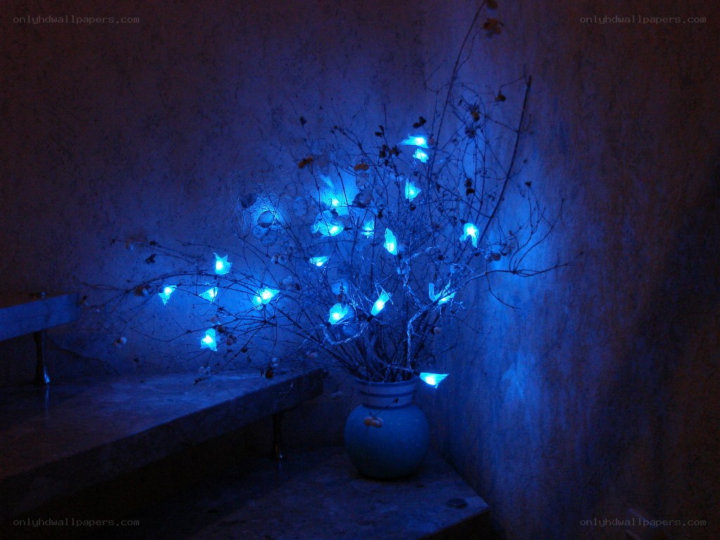Blue-lit floral arrangement