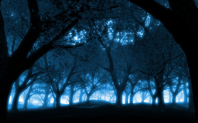 Blue-lit Forest at Night — Blue, Mysterious, Digital Art, Trees, Fog, Night Sky
