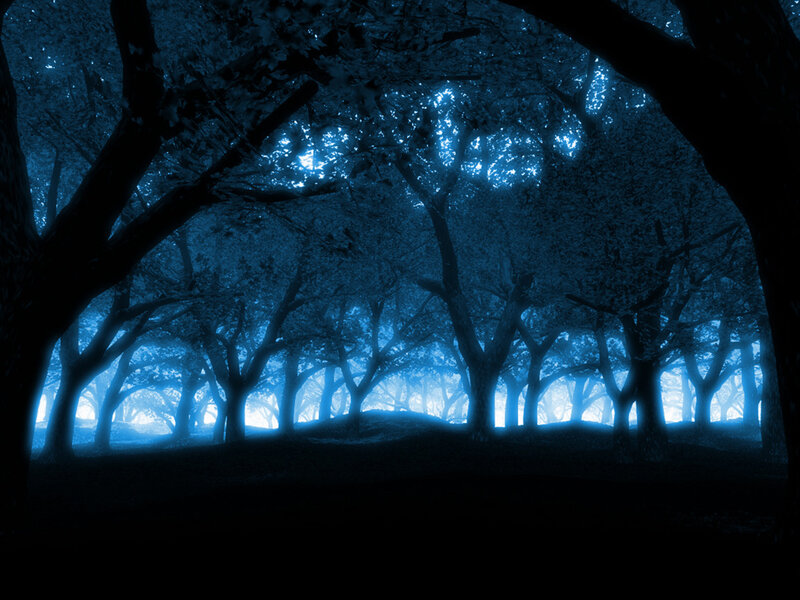 Blue-lit Forest at Night — Blue, Mysterious, Digital Art, Trees