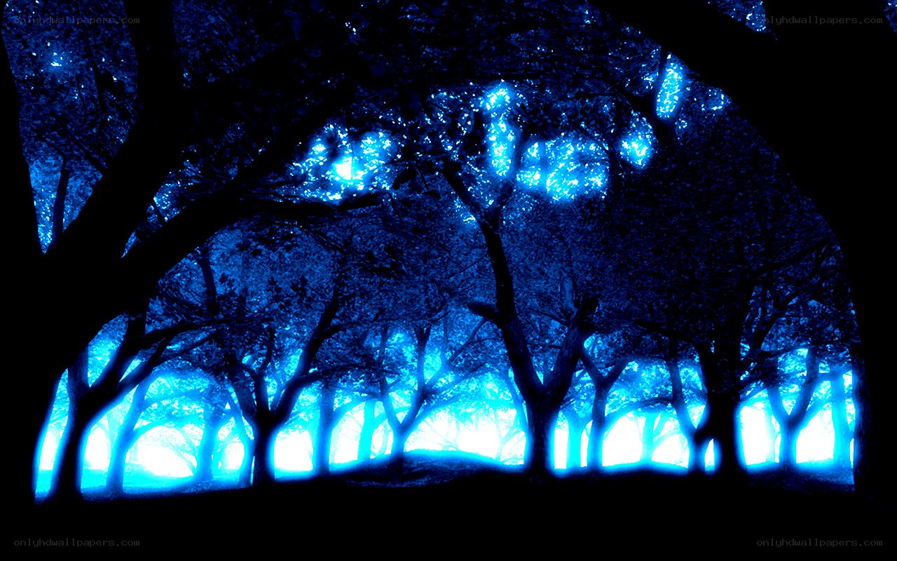 blue-lit forest at night