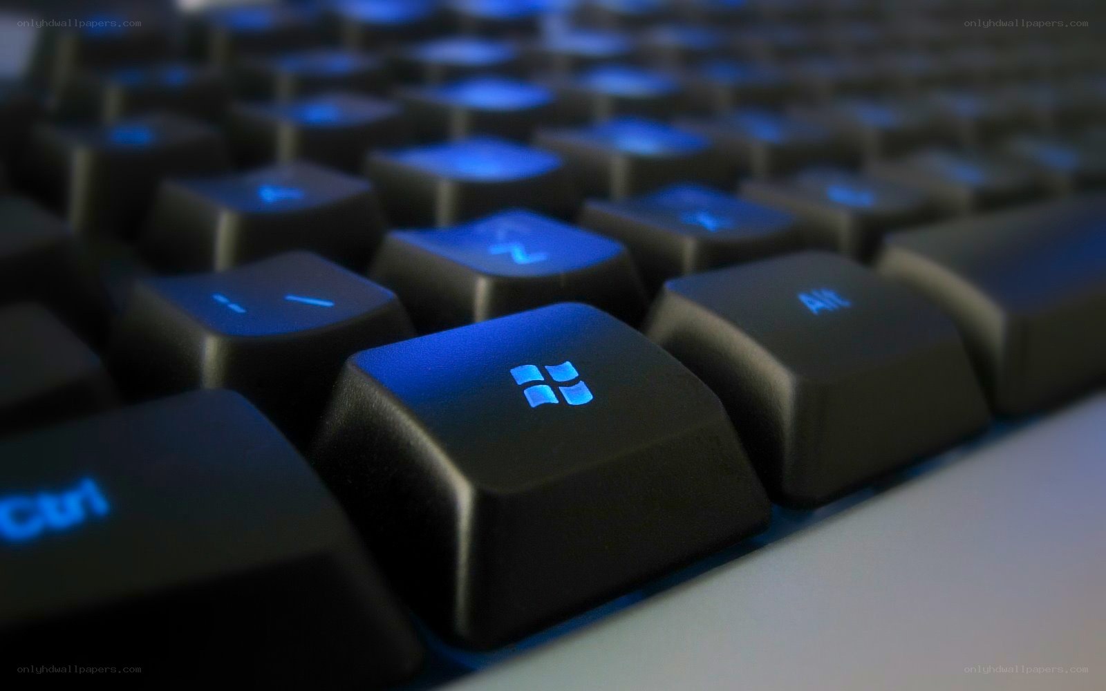 blue-lit keyboard with Windows key