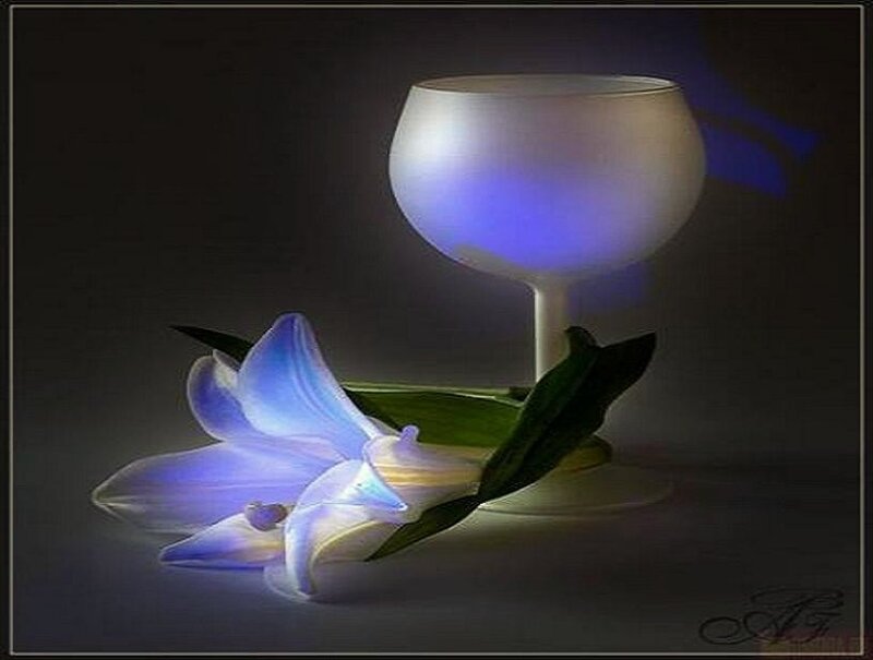Blue-lit lily and goblet