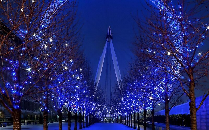 Blue-lit Trees and Tower — Blue, Festive, Night
