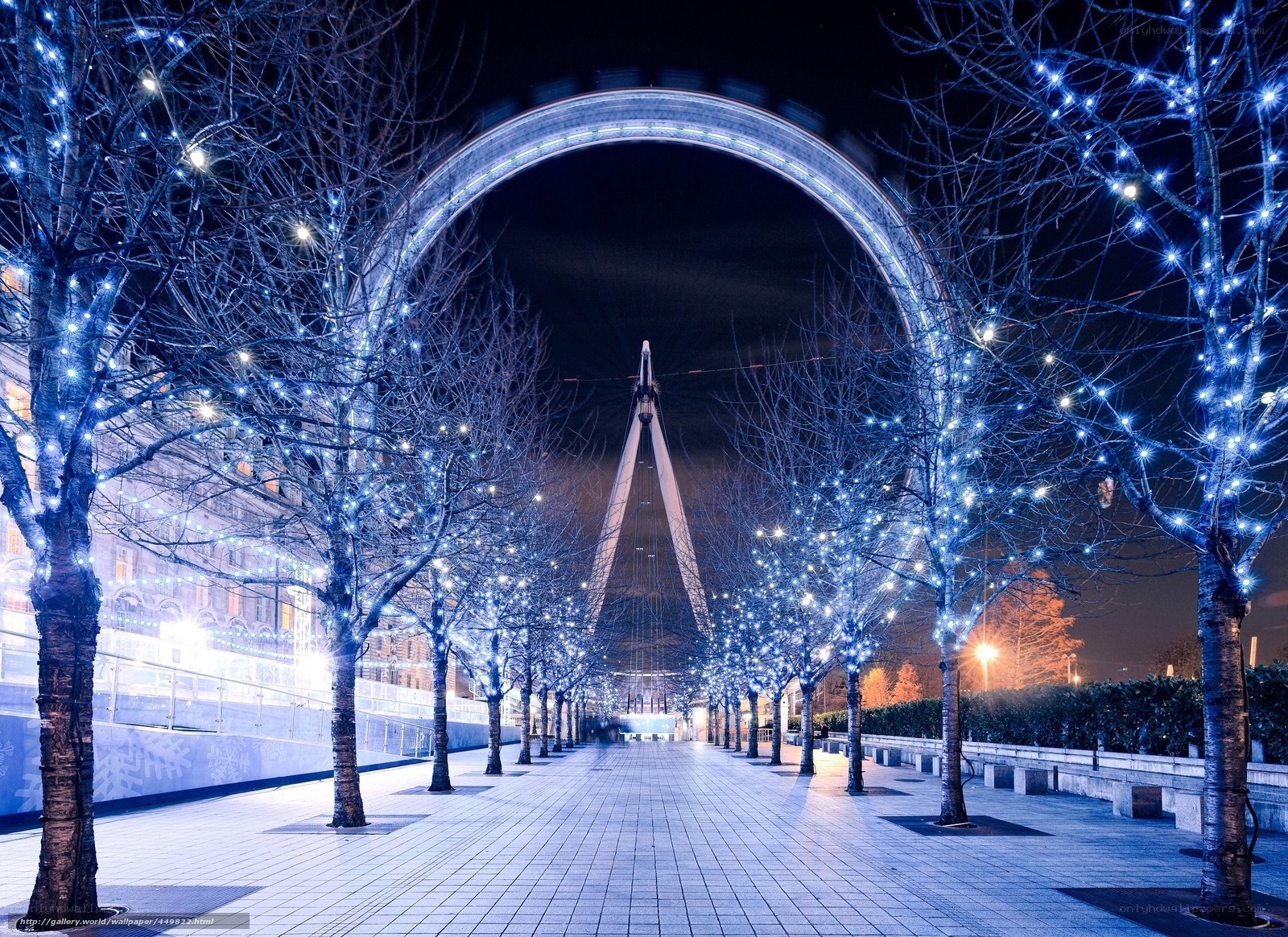 Blue-lit trees at night