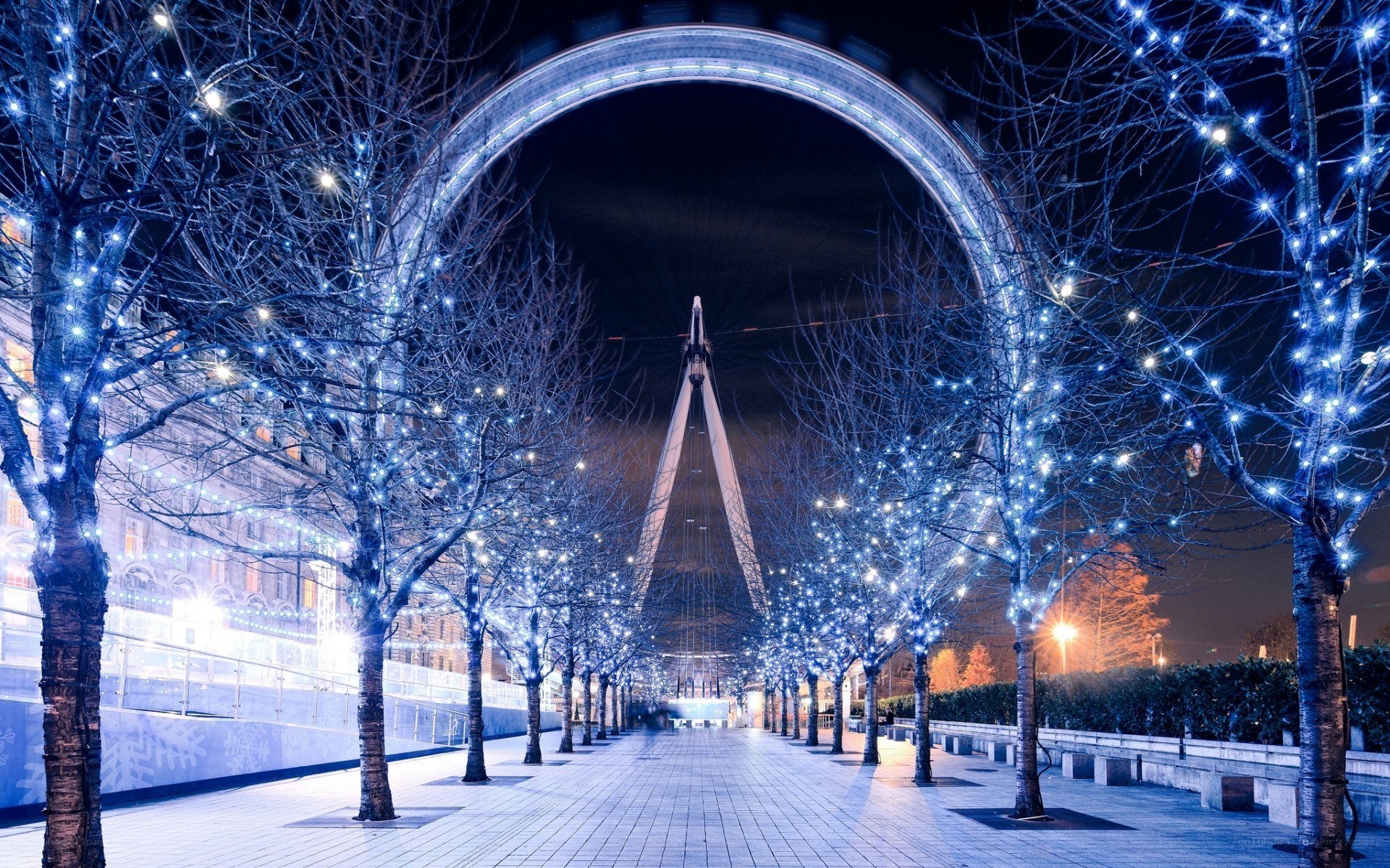 Blue-lit trees at night