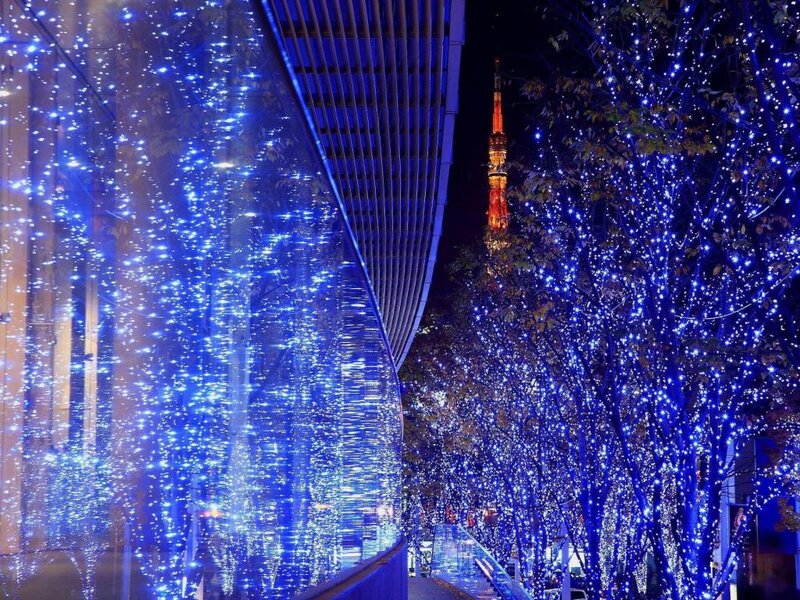Blue-lit Trees at Night — Blue, Festive
