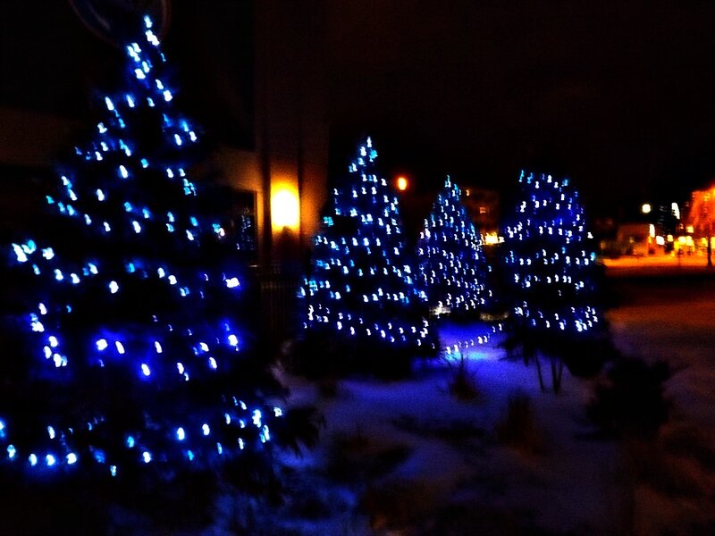 Blue-lit Trees in Snow — Blue