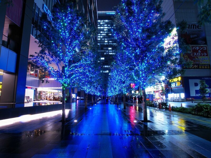 Blue-lit trees on a wet city street