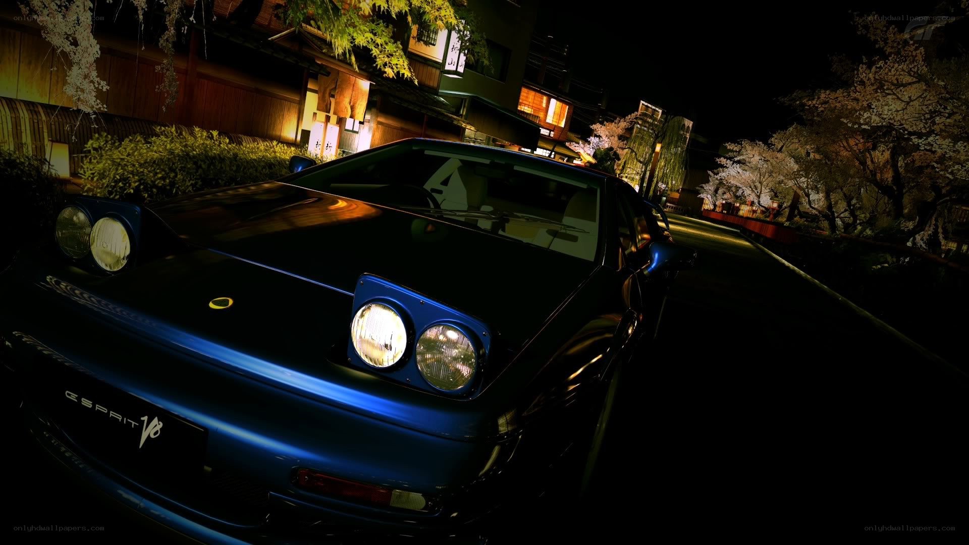 Blue Lotus Esprit at night
