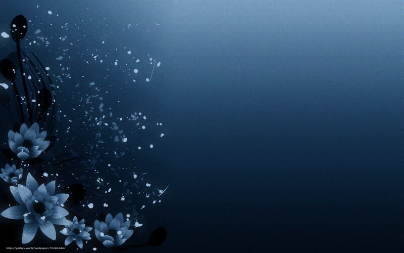 Blue Lotus Flowers