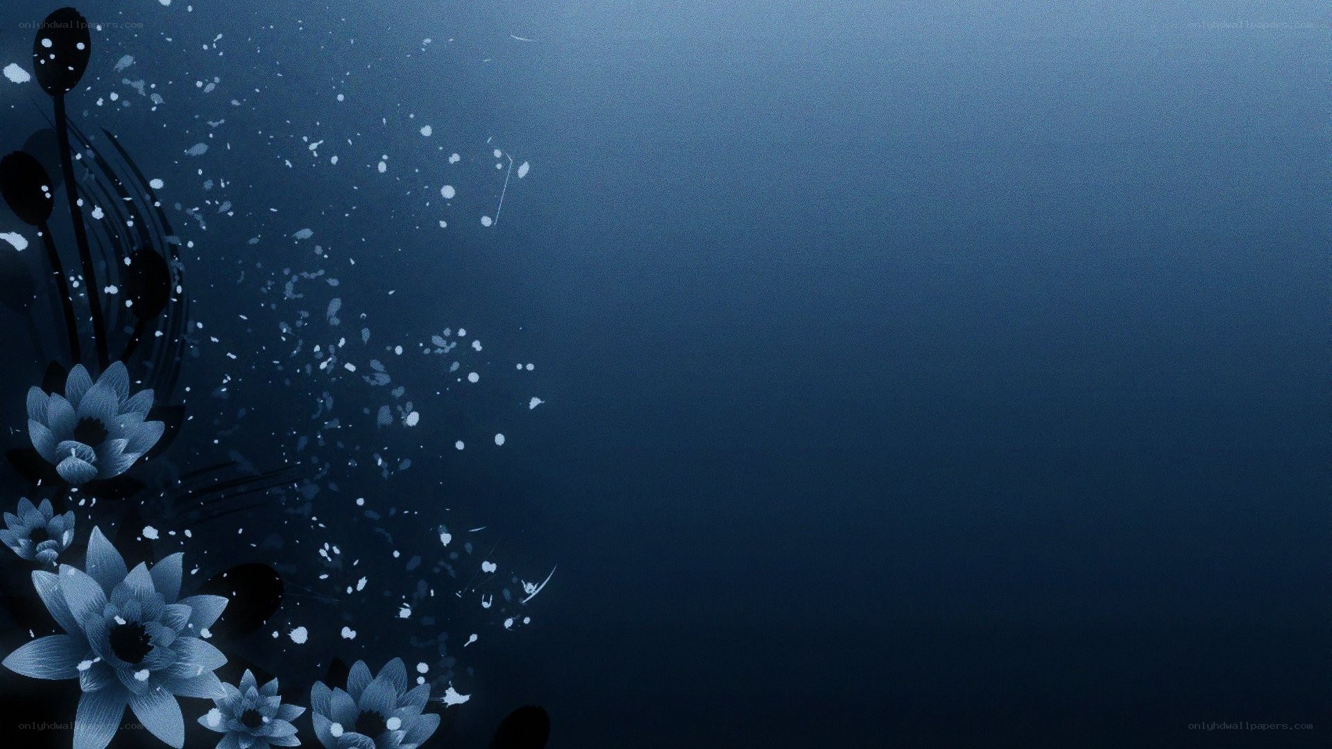 blue lotus flowers underwater