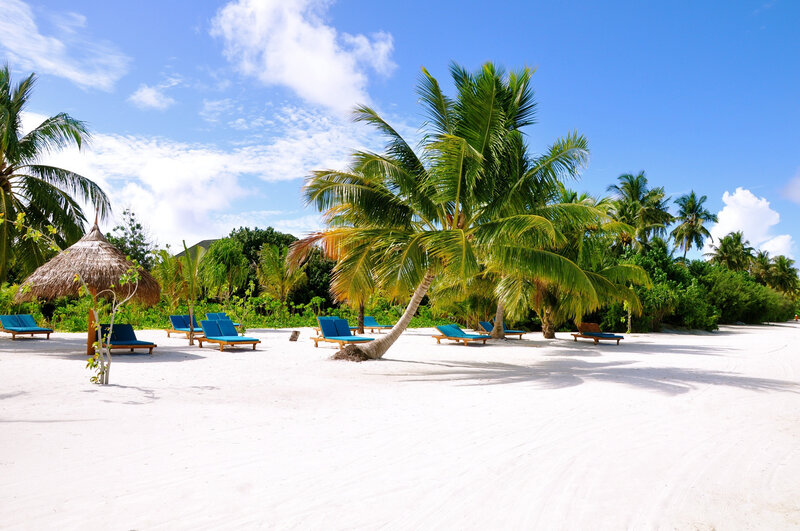 Blue Lounge Chairs on Beach