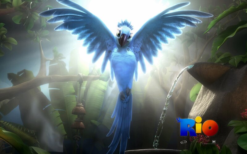 Blue Macaw in Jungle — Dramatic