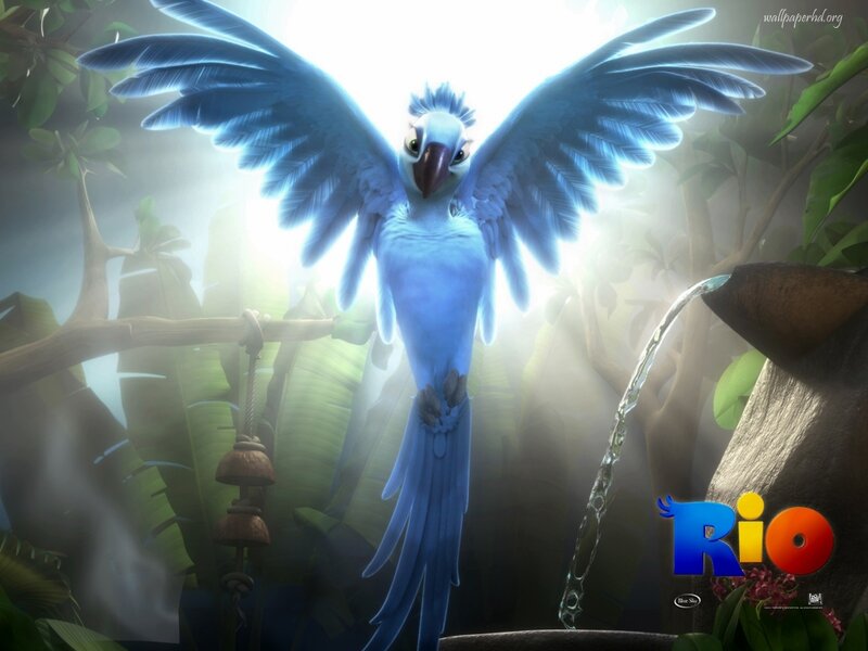 Blue Macaw in Jungle