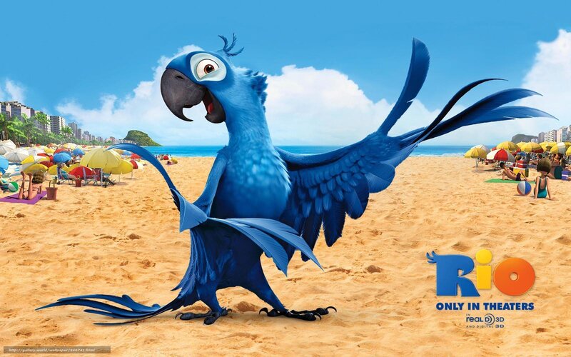Blue Macaw on Beach