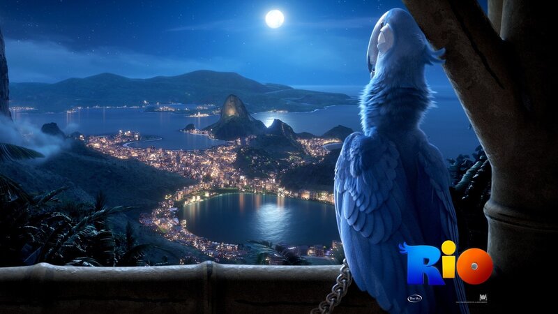 Blue Macaw Parrot — Serene, Night