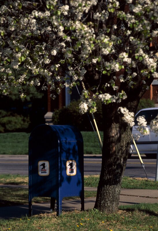 Blue mailbox under blooming tree