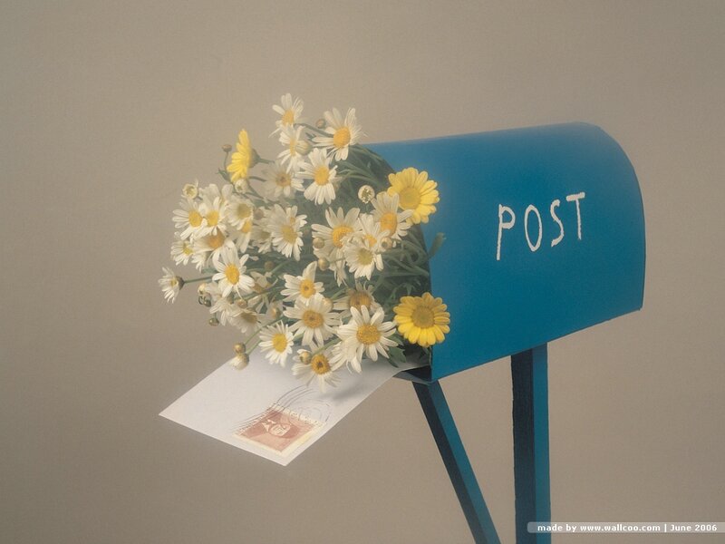 Blue Mailbox with Flowers