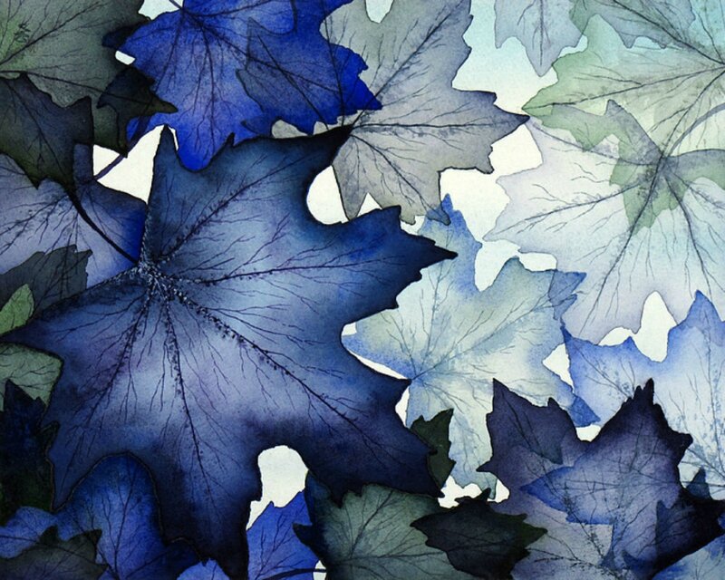 Blue Maple Leaves — Calm