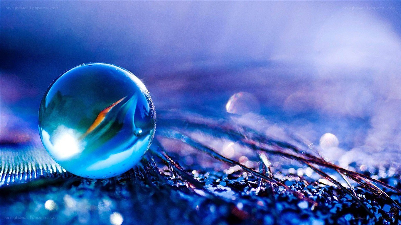 Blue marble on a feather