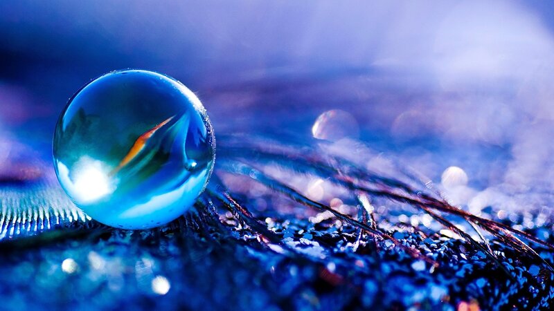 Blue Marble on Feather — Serene, Photograph, Bokeh