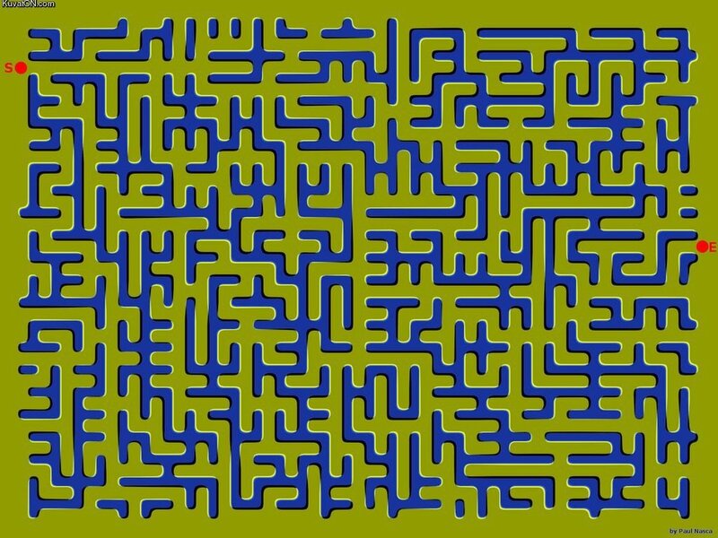 Blue Maze on Green — Puzzling