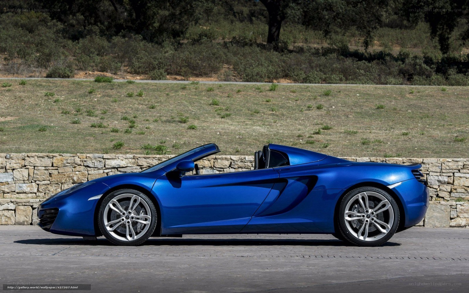 Blue McLaren convertible sports car