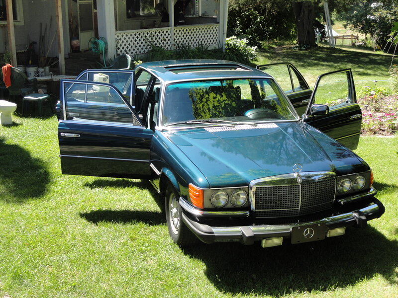 Blue Mercedes-benz Sedan