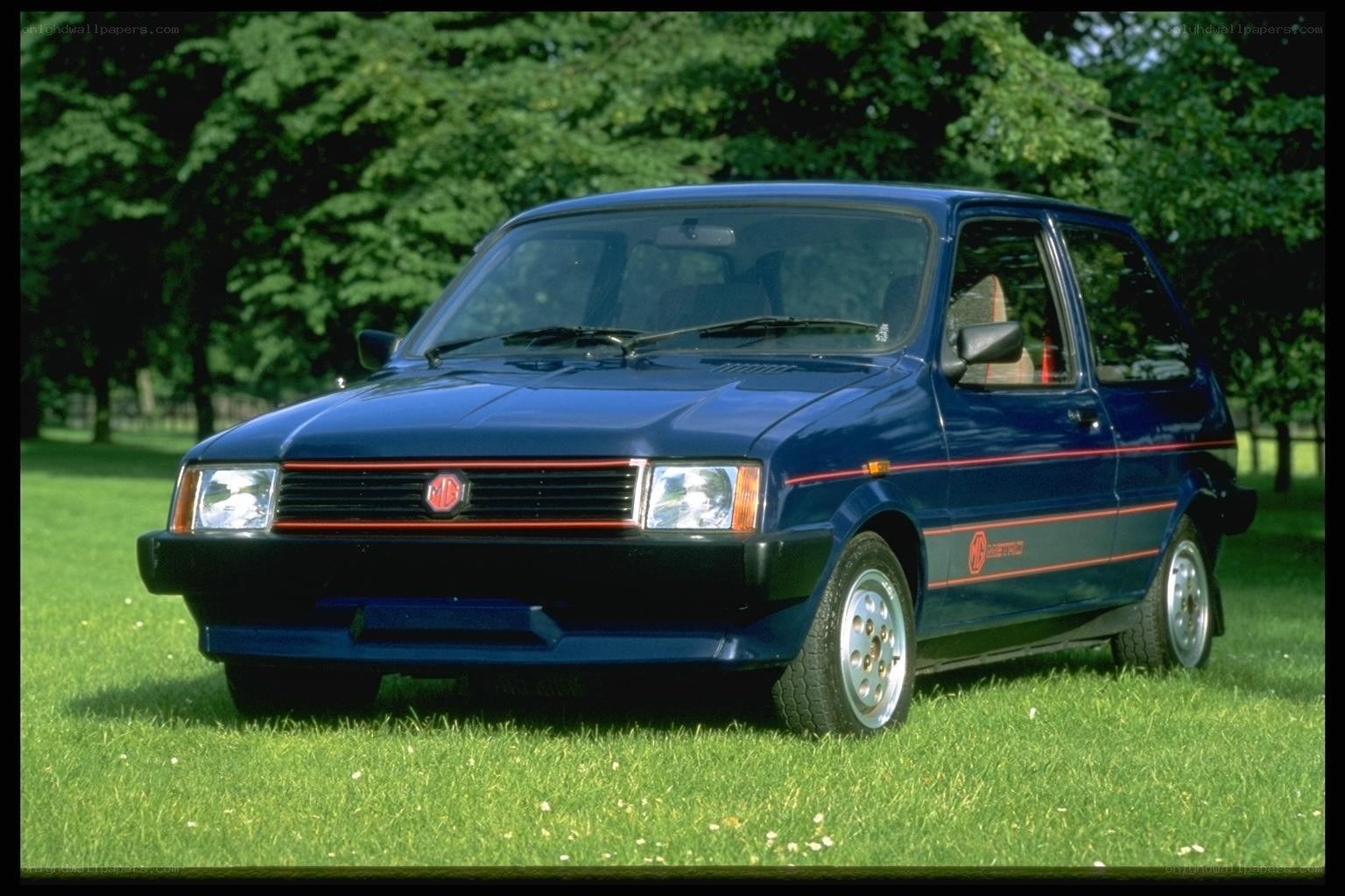 Blue MG Metro on grass