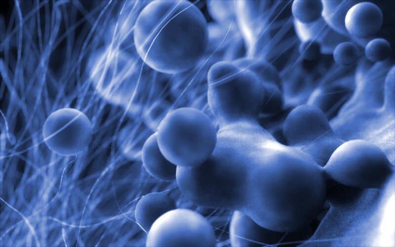 blue microscopic cellular structures
