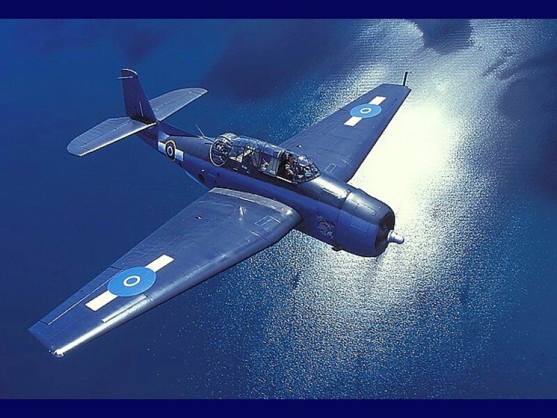blue military aircraft in flight