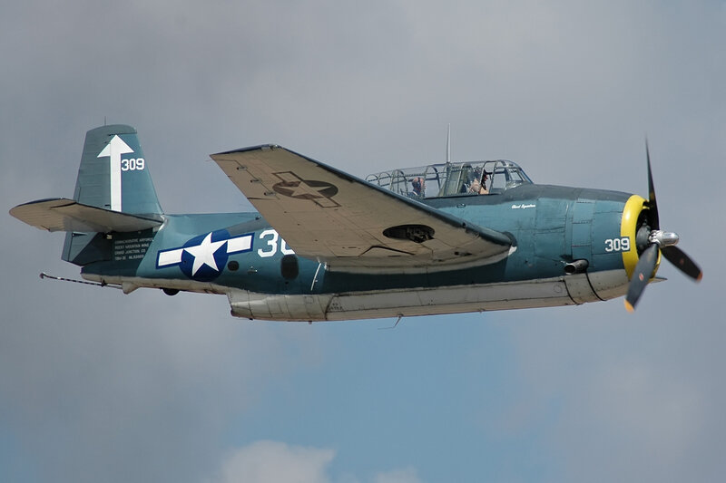 Blue Military Aircraft